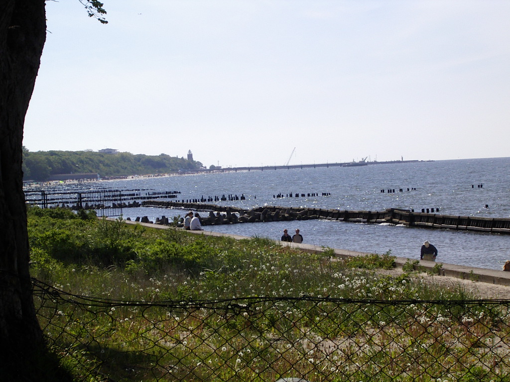 IMGP0248.JPG