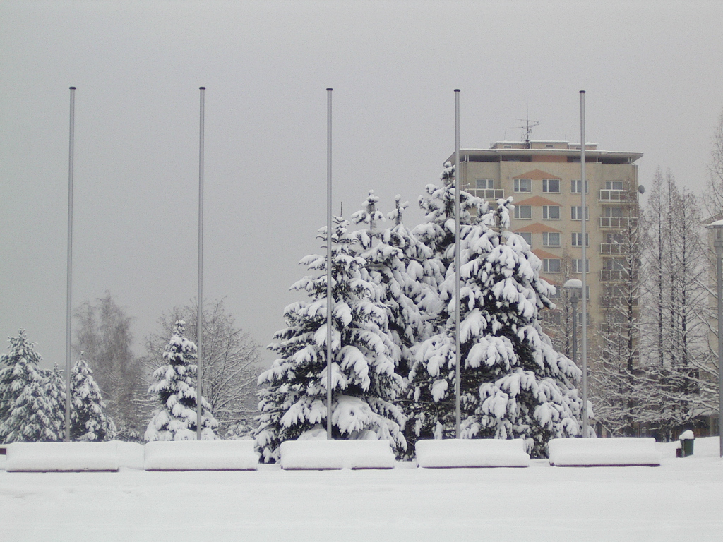 IMGP0578.JPG