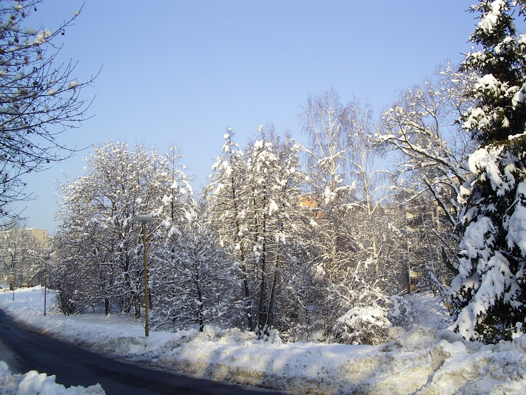 IMGP0886.JPG