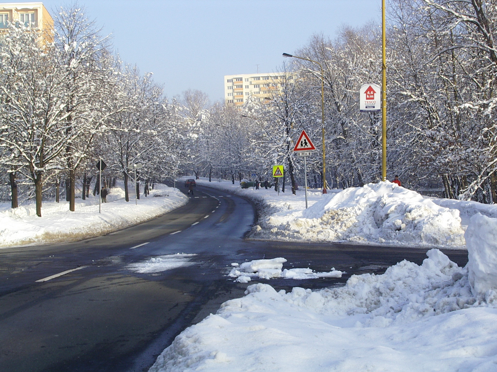 IMGP0887.JPG