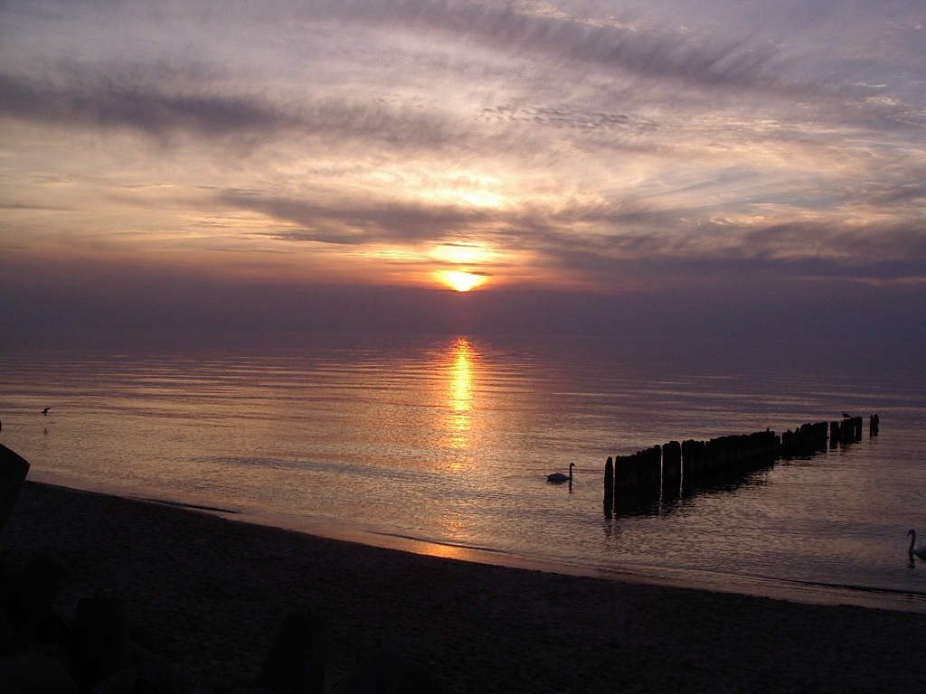 IMGP1082.JPG
