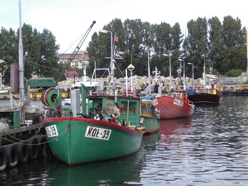 IMGP0822.JPG