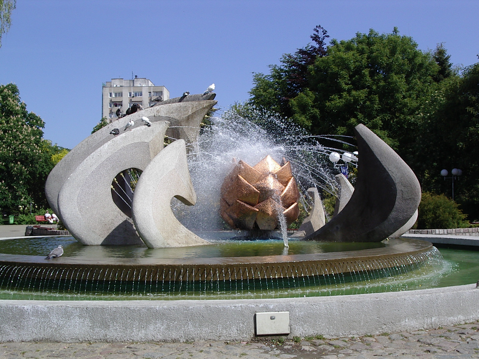 IMGP0269.JPG