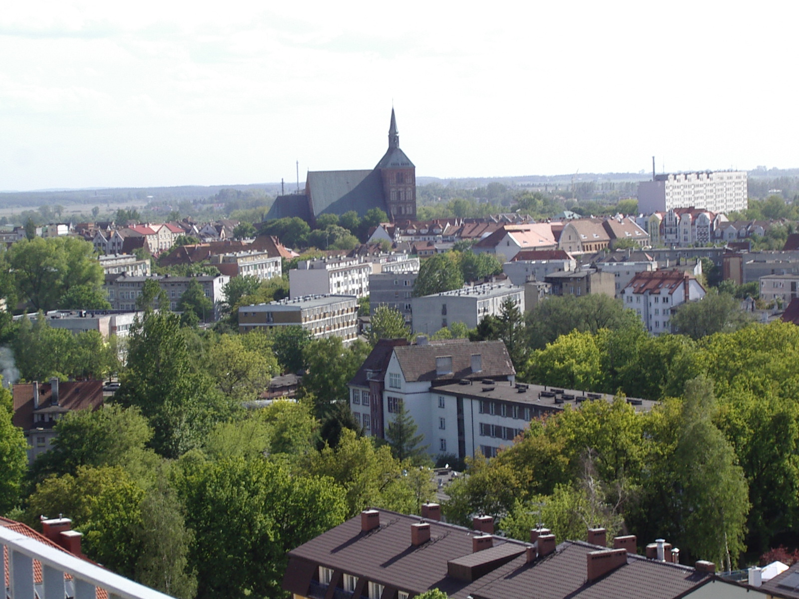 IMGP0294.JPG