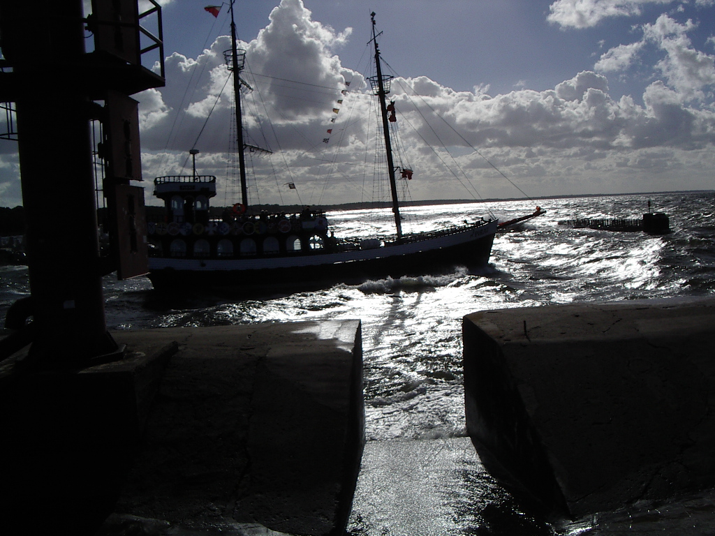 IMGP0485.JPG